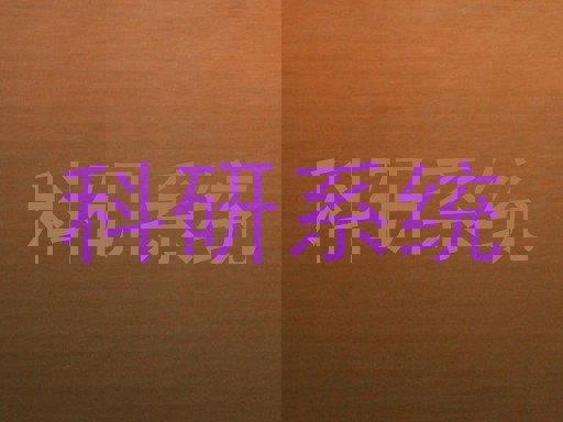 科研系统