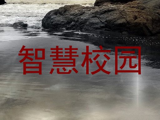 智慧校园