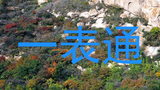 一表通