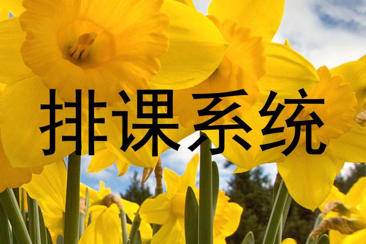 排课系统