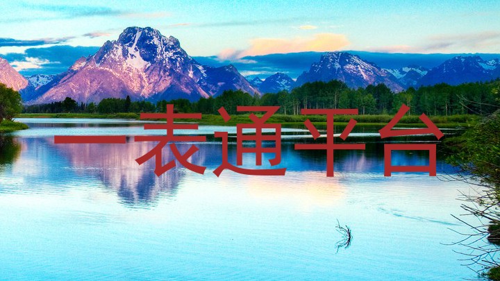 一表通平台