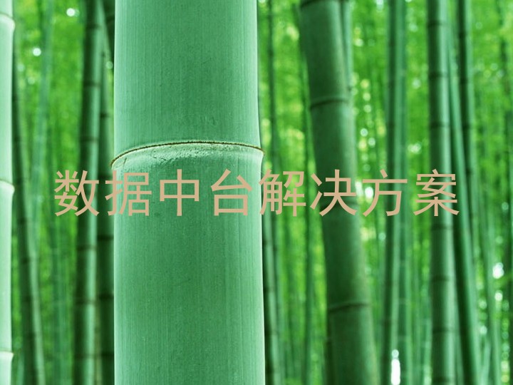 数据中台解决方案