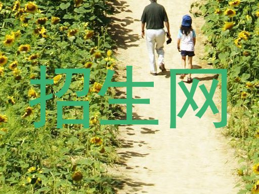 招生網(wǎng)