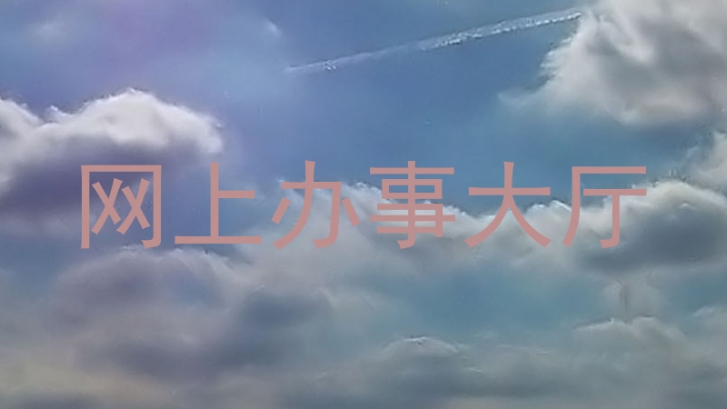 网上办事大厅