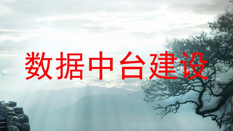 数据中台建设