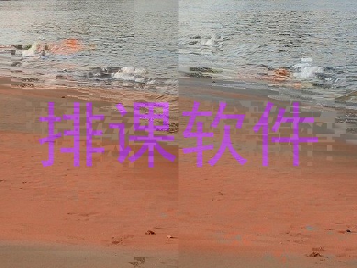 排课软件
