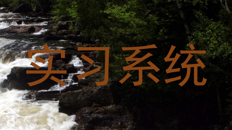 实习系统