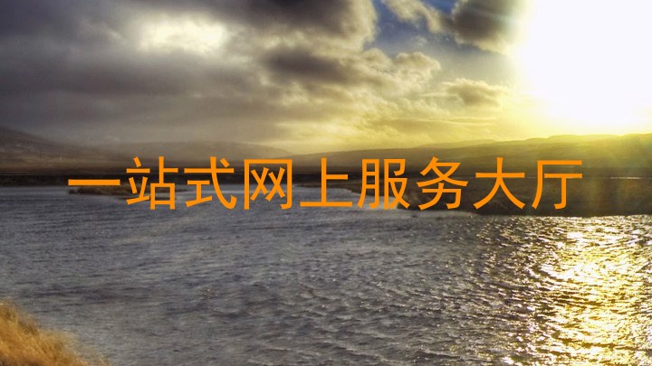 一站式网上服务大厅
