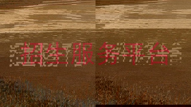 招生服務平臺