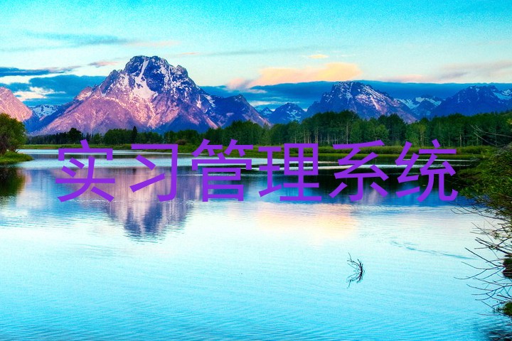 實(shí)習(xí)管理系統(tǒng)