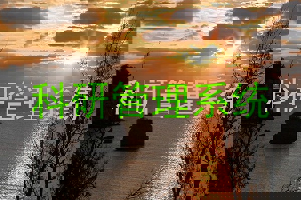 科研管理系统