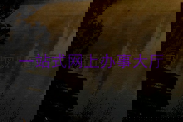 一站式网上办事大厅