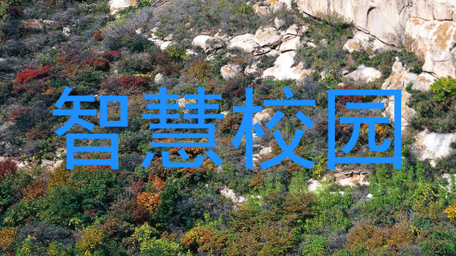 智慧校园