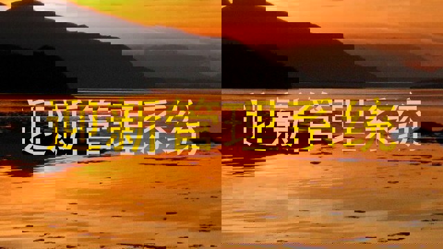 迎新管理系统