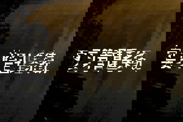 實(shí)習(xí)管理系統(tǒng)