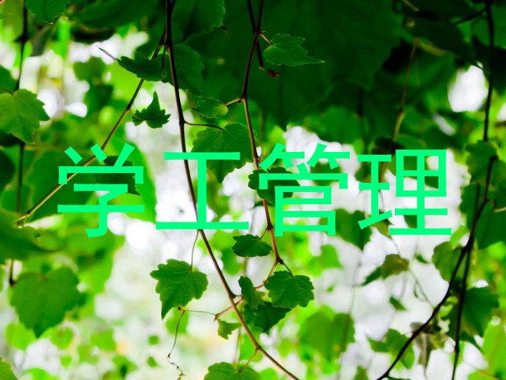 学工管理