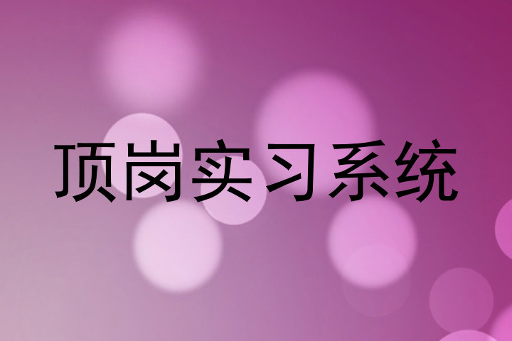 頂崗實(shí)習(xí)系統(tǒng)