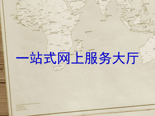 一站式网上服务大厅