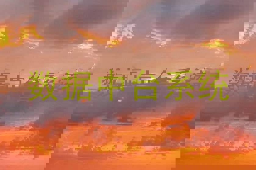 数据中台系统