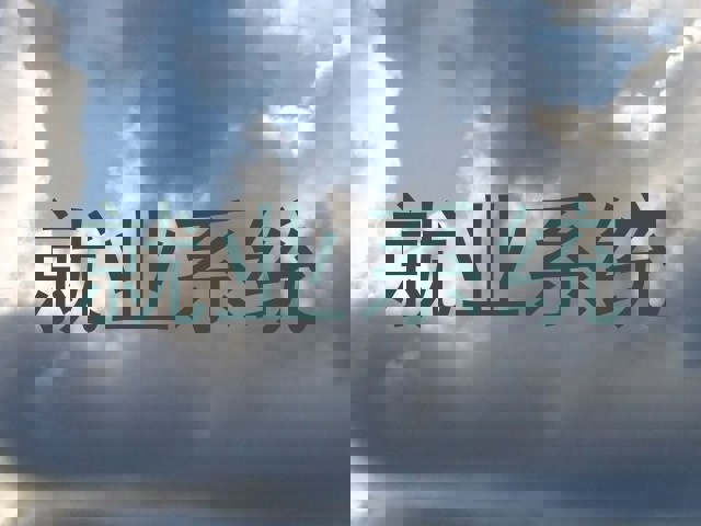 就业系统