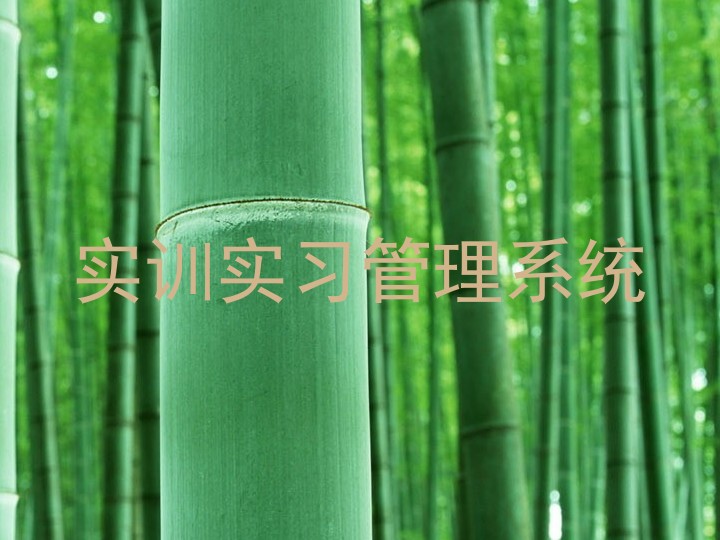 实训实习管理系统
