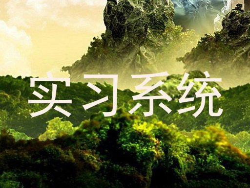 實習(xí)系統(tǒng)