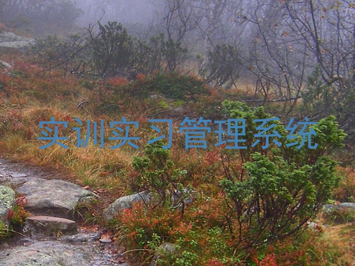 實(shí)訓(xùn)實(shí)習(xí)管理系統(tǒng)