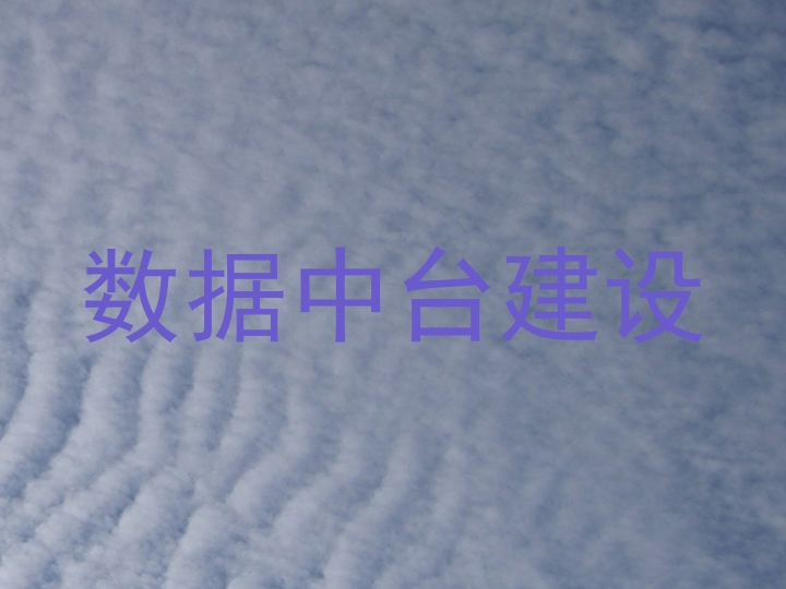 数据中台建设