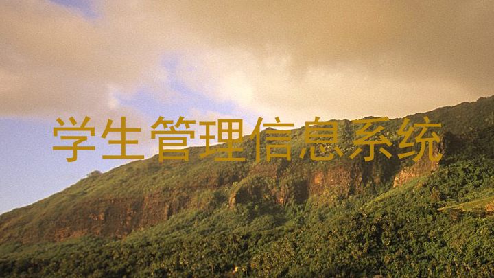 学生管理信息系统