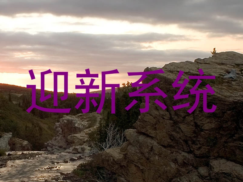 迎新系统