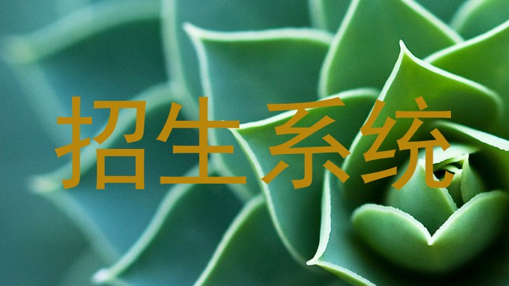 招生系統(tǒng)