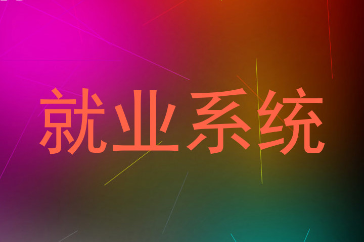 就业系统