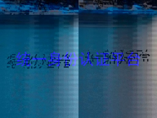 统一身份认证平台