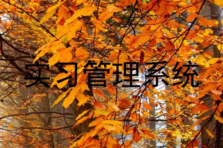 实习管理系统
