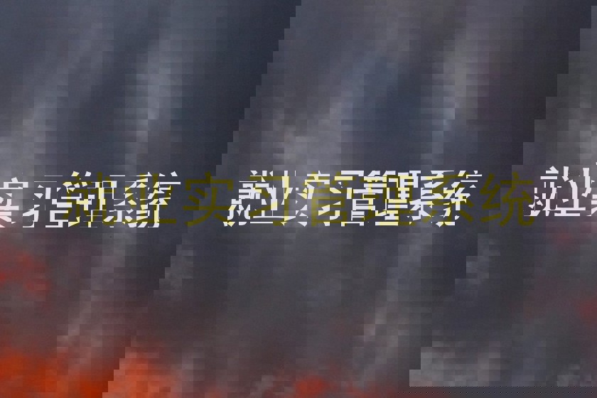 就業(yè)實習(xí)管理系統(tǒng)