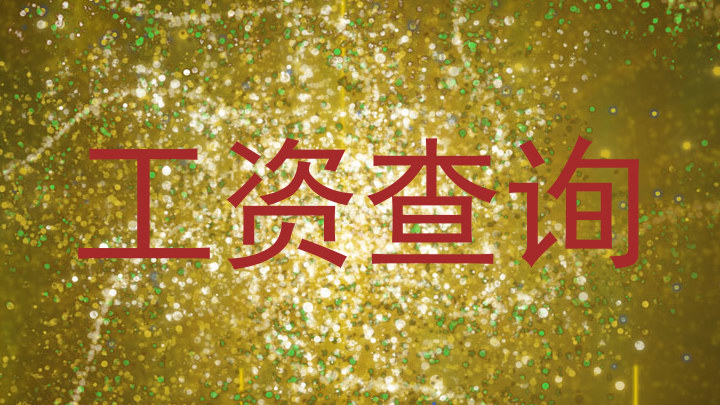 工资查询