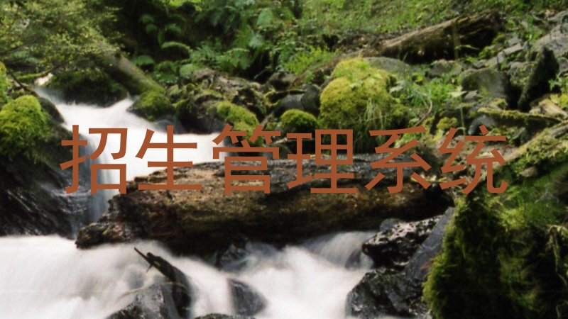 招生管理系统