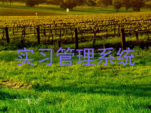 實(shí)習(xí)管理系統(tǒng)