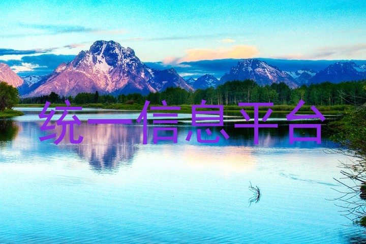 統(tǒng)一信息平臺(tái)