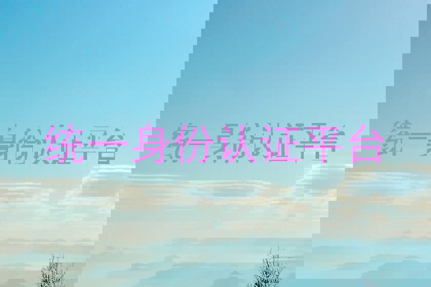 统一身份认证平台