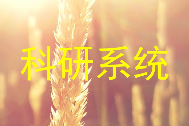 科研系统