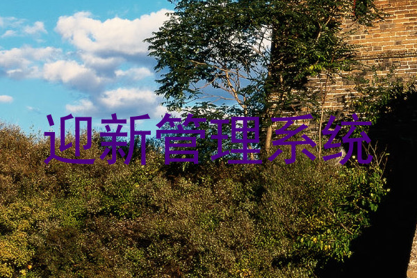 迎新管理系统