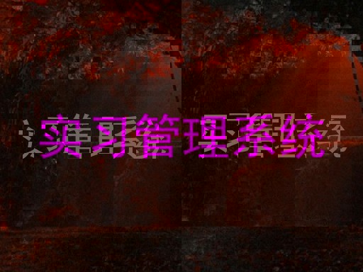 實(shí)習(xí)管理系統(tǒng)