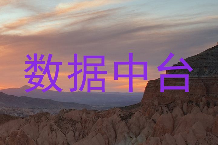 数据中台
