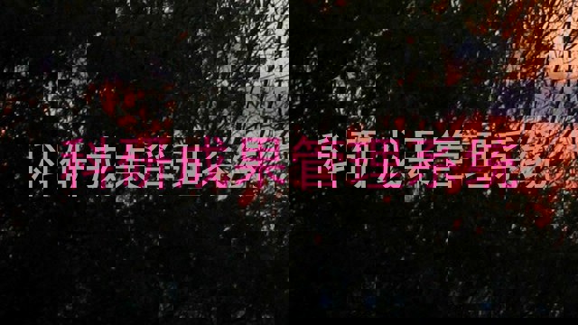 科研成果管理系统
