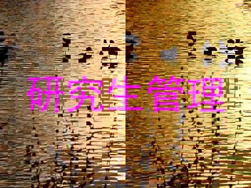 研究生管理