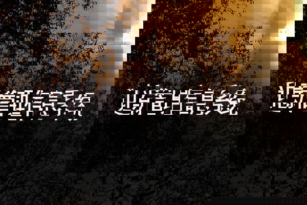 迎新管理信息系统