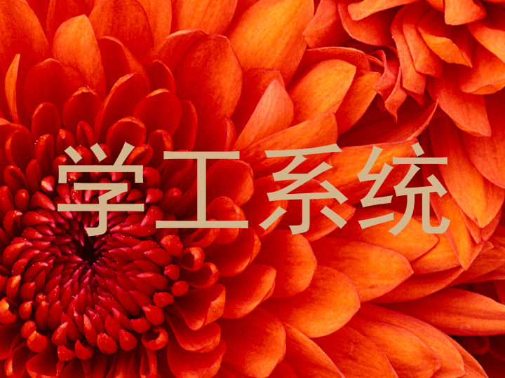 学工系统