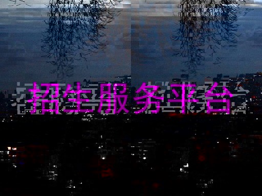 招生服務(wù)平臺
