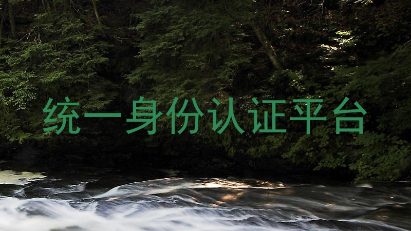统一身份认证平台